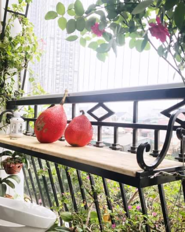 Lưới an toàn ban công giá sỉ