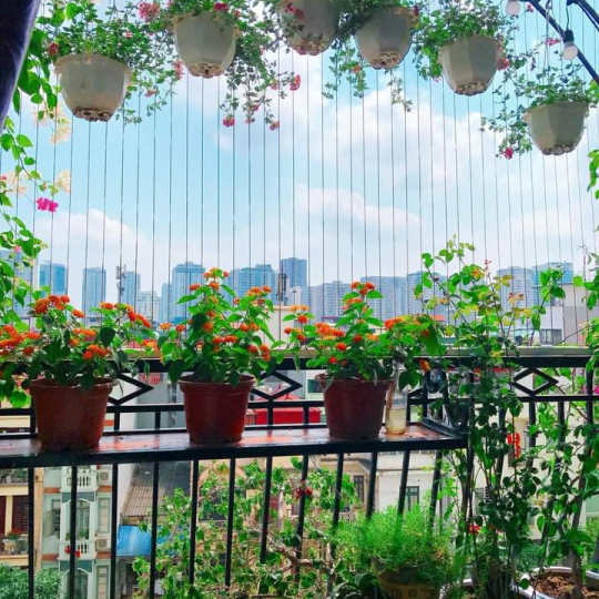 Thi công lưới ban công huyện Bình Minh tốt nhất
