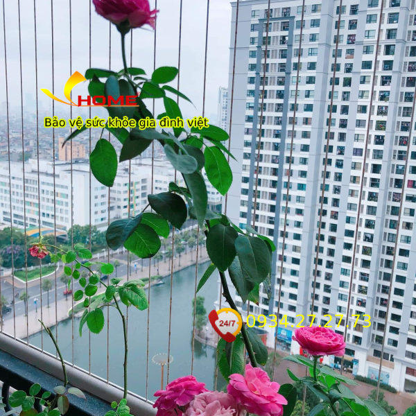 Lưới an toàn ban công v-h 4