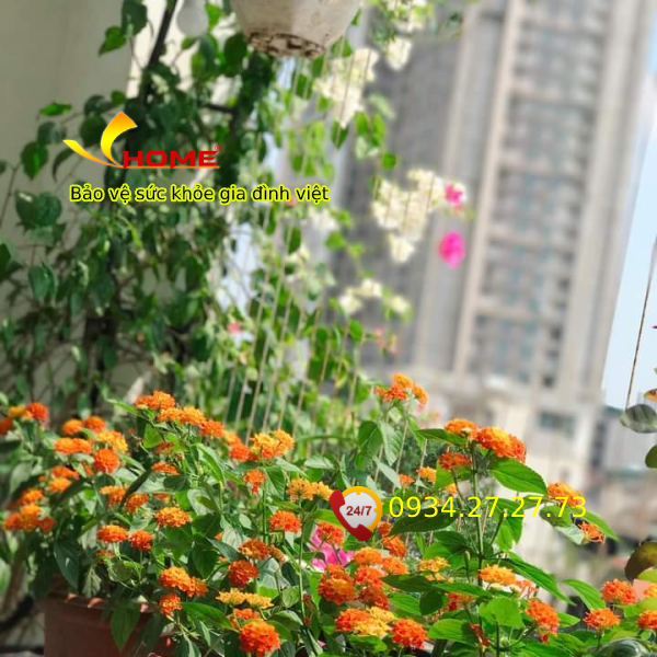 Lưới ban công thị xã Vĩnh Long chất lượng